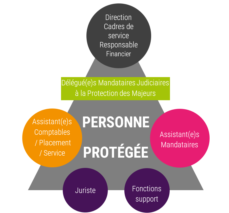 organigramme